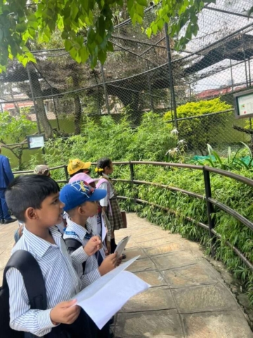 20d1b53e-a0ce-4c04-87ed-c3461d4414d3